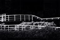 art photography &copy; Nick Chaldakov